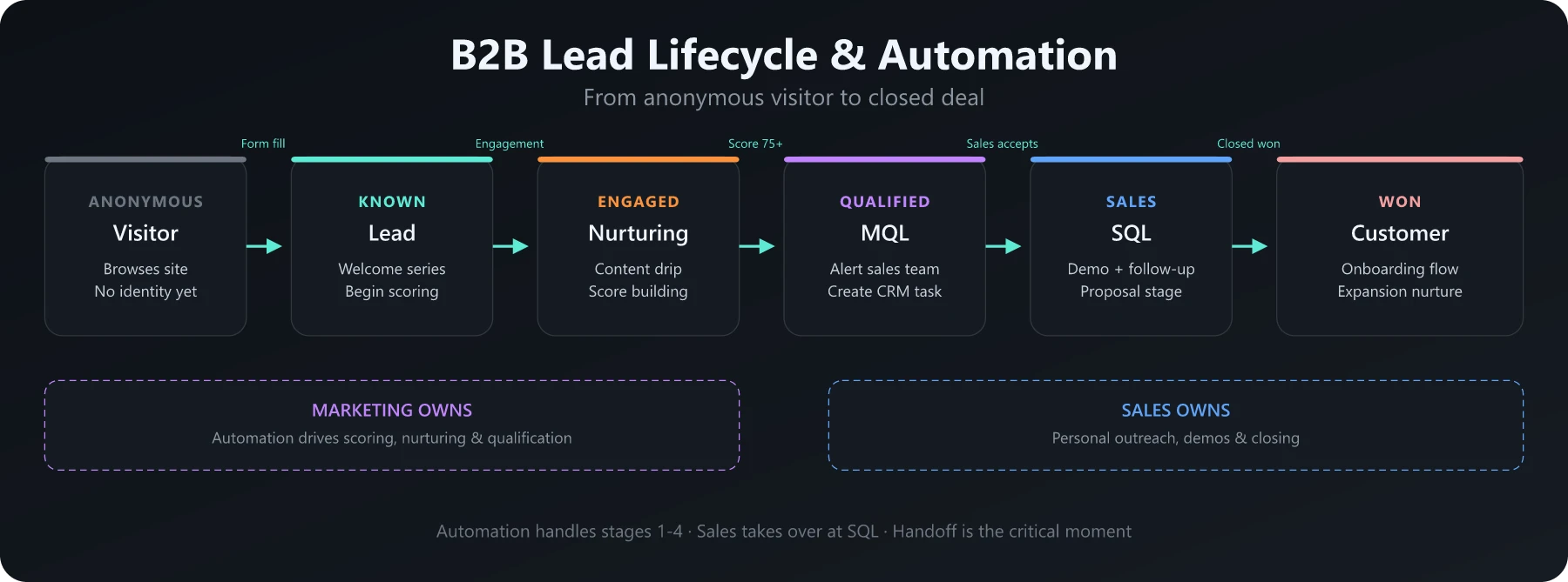 B2B Lead Lifecycle and Automation B2B lead lifecycle from visitor to customer