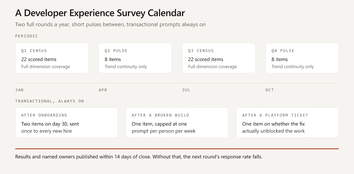 Calendar showing a full census in Q1 and Q3, short KPI pulses in Q2 and Q4, always-on transactional prompts, and a fourteen day publish window